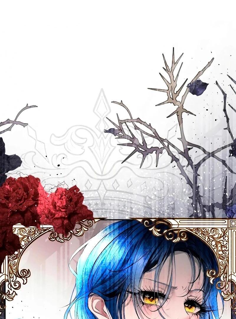 74288306 800 1080 140456